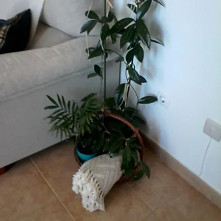 Privatunterkunft Quarto Torres Vedras
